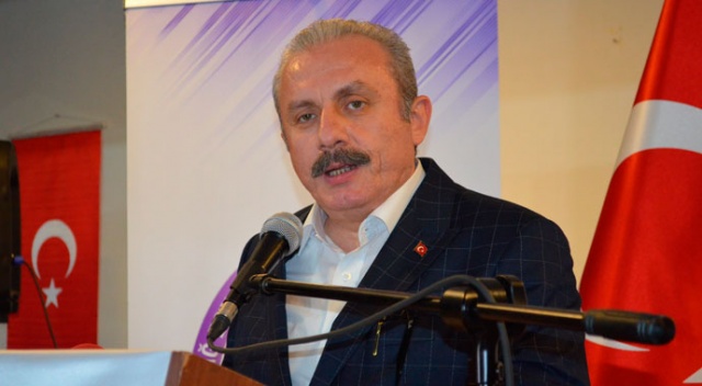 TBMM Başkanı Şentop'dan partilere milli meselelerde birlik çağrısı