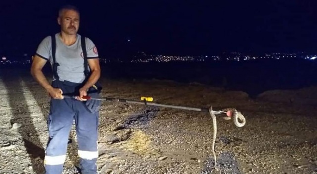 Terminalde yılan paniği Terminalde yılan paniği