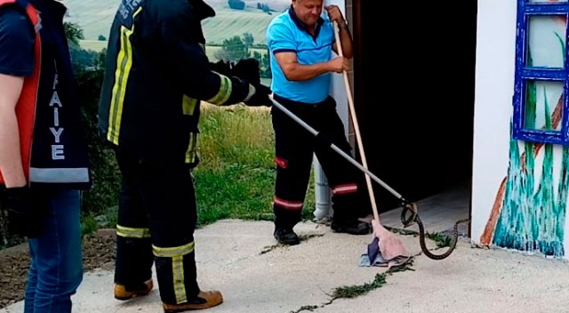 Tuvalete giren 2 metrelik yılan korkuttu