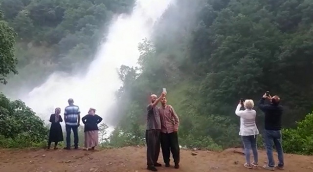 Yoldan geçerken görenler araçlarından inip fotoğrafını çekti