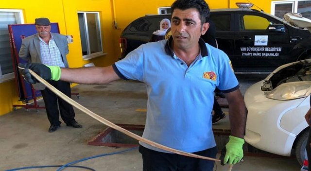 Araca giren yılan görenleri korkuttu