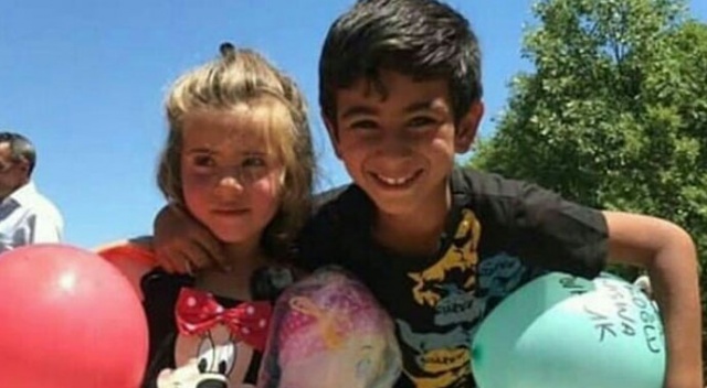 Bunlar fidan değil mi?