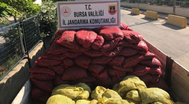 Bursa'da 12 ton kaçak midye ele geçirildi Bursa'da 12 ton kaçak midye ele geçirildi