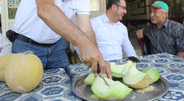 Bursa'da kavun hasadı başladı, fiyatlar yüzleri güldürdü Bursa'da kavun hasadı başladı, fiyatlar yüzleri güldürdü