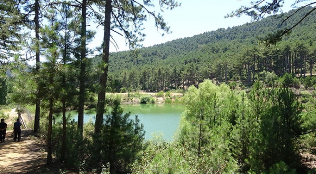 Çam ormanı içindeki 'saklı cennet', turist akınına uğruyor Çam ormanı içindeki 'saklı cennet', turist akınına uğruyor