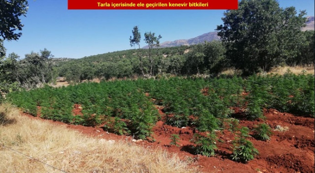Diyarbakır'da terörün finans kaynağına büyük darbe Diyarbakır'da terörün finans kaynağına büyük darbe