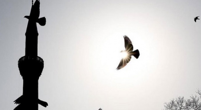 Doğu&#039;da hava sıcaklığı düşüyor
