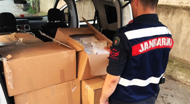 Ekiplerin durdurduğu araçtan 4 bin 400 paket kaçak sigara çıktı