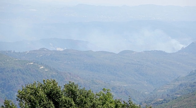 Hatay sınırında orman yangını