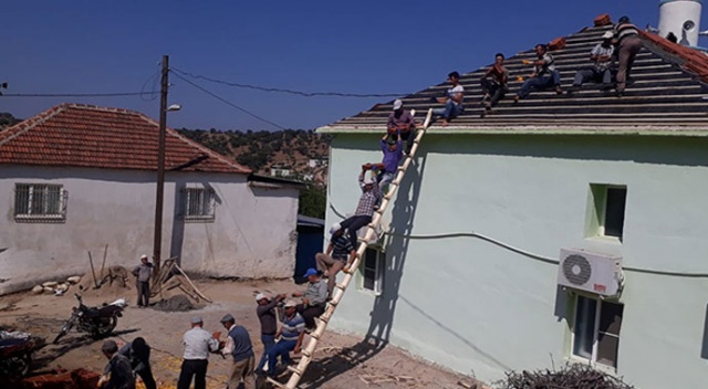 Karıncaları örnek alan köylüler sorunu yarım saatte çözdü Karıncaları örnek alan köylüler sorunu yarım saatte çözdü