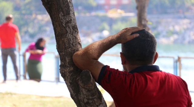 Karısı intihara teşebbüs etti, o ağaca yaslanarak izledi Karısı intihara teşebbüs etti, o ağaca yaslanarak izledi