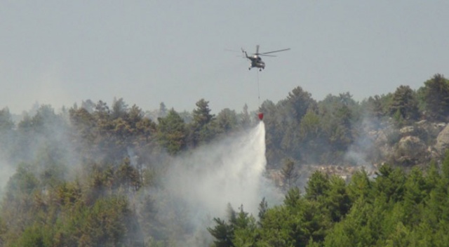 Mersin'de orman yangını Mersin'de orman yangını