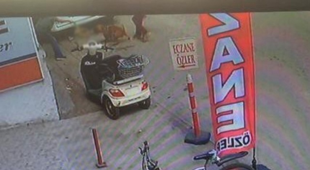 O caniler gözaltına alındı O caniler gözaltına alındı