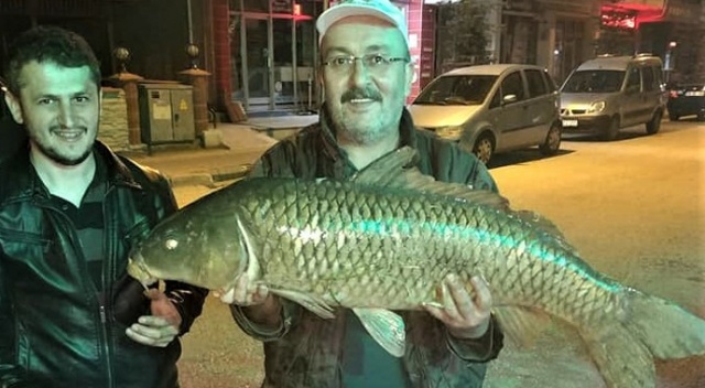 Olta ile yakaladığı 12 kilo 710 gramlık sazanı güçlükle çıkartabildi Olta ile yakaladığı 12 kilo 710 gramlık sazanı güçlükle çıkartabildi