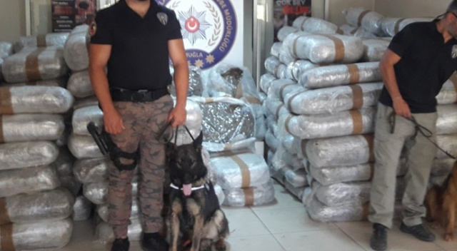 Piyasa değeri 50 milyon lira !