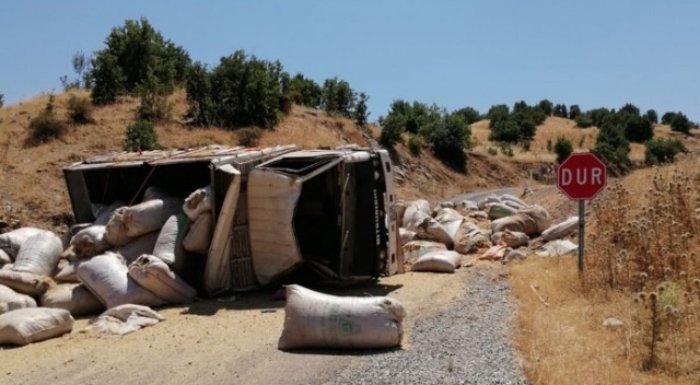 Saman yüklü kamyon devrildi: 2 Yaralı Saman yüklü kamyon devrildi: 2 Yaralı