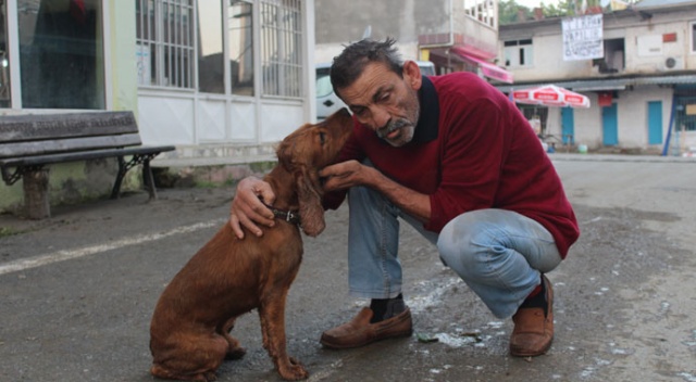 Selde kaybolan köpeği yüzerek geldi, sevince boğuldu