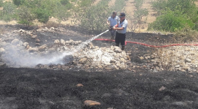 Siirt'te fıstık ağaçları ve üzüm bağlarında yangın Siirt'te fıstık ağaçları ve üzüm bağlarında yangın