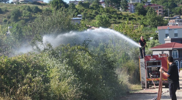 Sinop'ta ot yangını