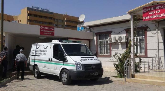 Tek amacı kuşları korkutmaktı! Feci son Tek amacı kuşları korkutmaktı! Feci son