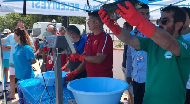 Tekirdağ’da zıpkınla balık avı şampiyonası heyecanı