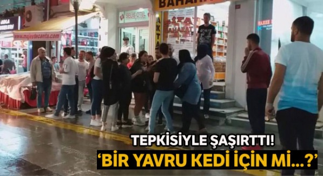 Tepkisiyle şaşırttı: 'Bir yavru kedi için mi...?' Tepkisiyle şaşırttı: 'Bir yavru kedi için mi...?'