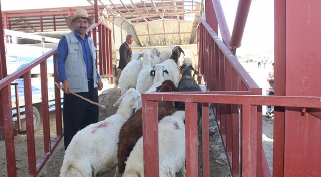 Van&#039;da kurbanlıklar görücüye çıktı
