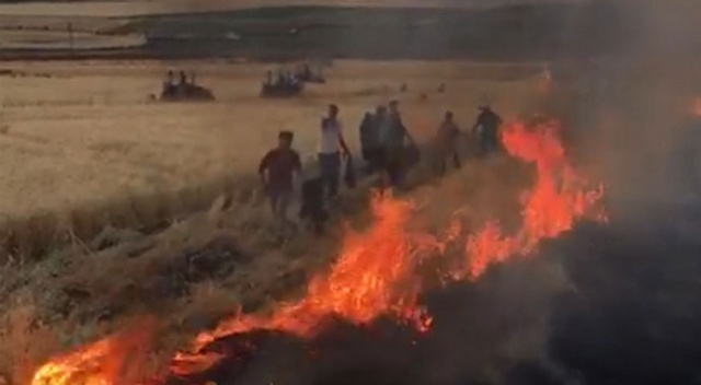 Yangına karşı adeta etten duvar ördüler! Yangına karşı adeta etten duvar ördüler!