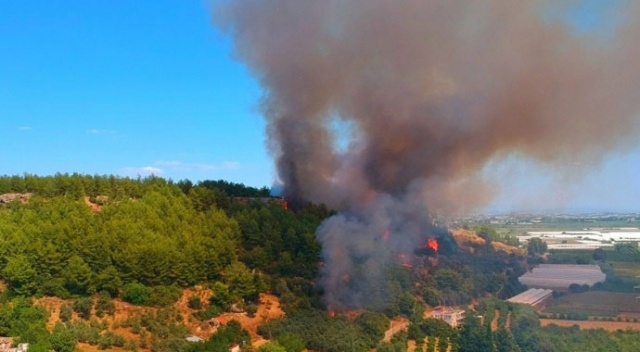 Antalya’da antik kent yakınında orman yangını