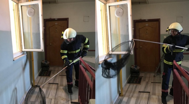 Apartmandan 60 yarasa çıkardılar Apartmandan 60 yarasa çıkardılar