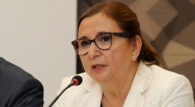 Bakan Pekcan "İhracat Ana Planı"nı açıkladı Bakan Pekcan "İhracat Ana Planı"nı açıkladı