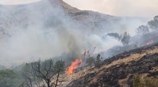 Bayburt'ta orman yangını