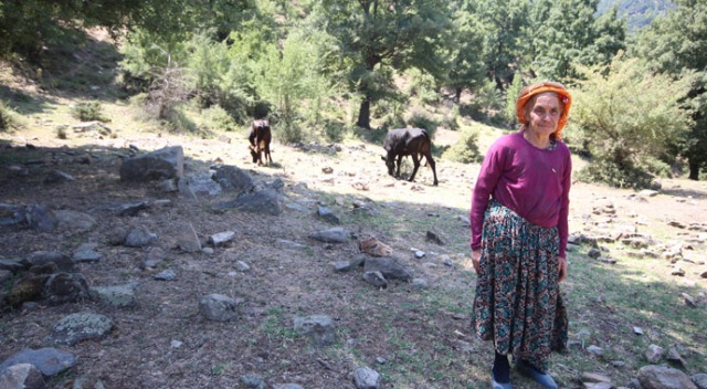 Çaresizliğin yüzü olan Sabiha nine kurbanlık satacak