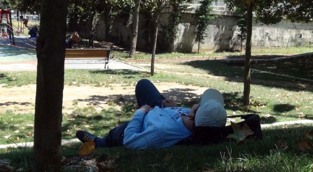 Doğu'da hava sıcaklığı mevsim normallerinde seyredecek Doğu'da hava sıcaklığı mevsim normallerinde seyredecek