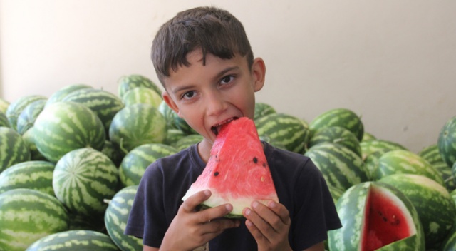 Kabak karpuz tartışması: 1 yaralı Kabak karpuz tartışması: 1 yaralı