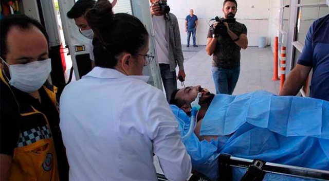 Kurban keserken elini arı soktu, yoğun bakıma alındı!