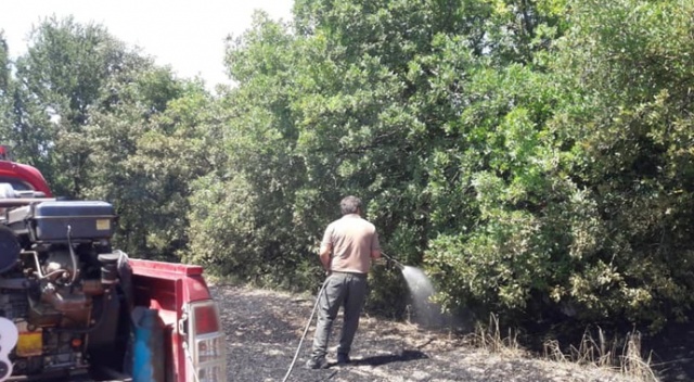 Mustafakemalpaşa&#039;da orman yangını büyümeden söndürüldü