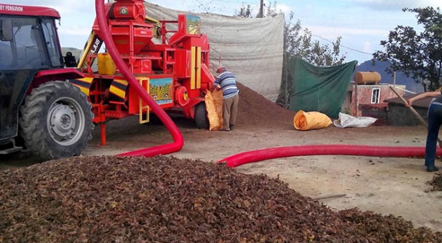 Patozcuların mesaisi başladı