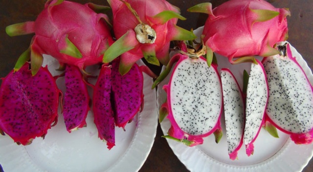 Pitahayanın tanesi bahçede 17, markette 40 lira Pitahayanın tanesi bahçede 17, markette 40 lira
