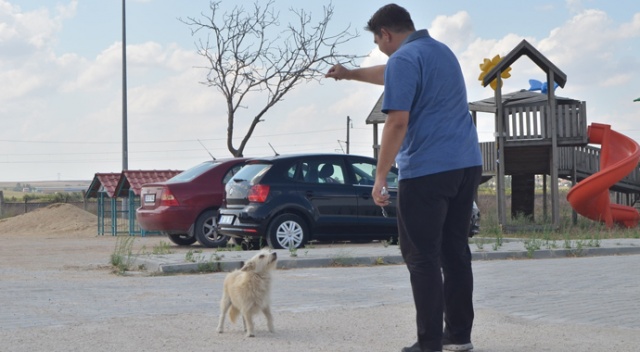 Sadakatin böylesi: Sahibinden kaçıp tedavi olduğu barınağa geldi Sadakatin böylesi: Sahibinden kaçıp tedavi olduğu barınağa geldi
