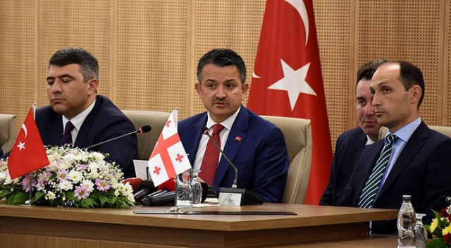 Türkiye, Azerbaycan ve Gürcistan'dan fındık için iş birliği kararı