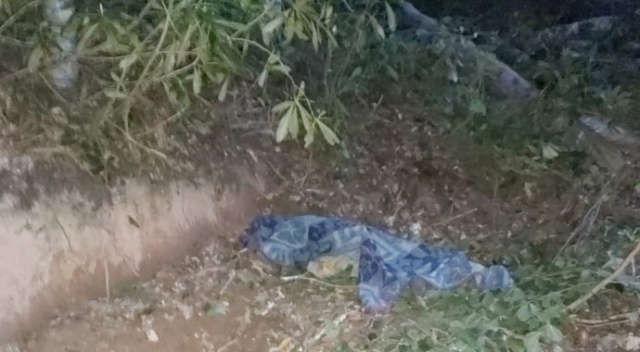 Üzerine ağaç devrilen orman işçisi öldü Üzerine ağaç devrilen orman işçisi öldü