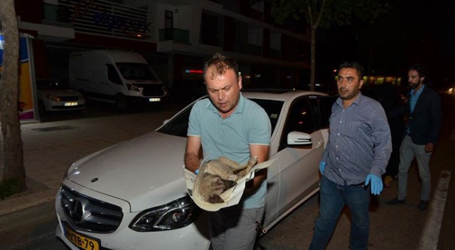 Yolda bulduğu yaralı köpeği kurtarmak için 80 kilometre gitti Yolda bulduğu yaralı köpeği kurtarmak için 80 kilometre gitti