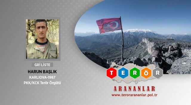 300 bin TL ödülle Gri Liste’de aranan terörist etkisiz hale getirildi