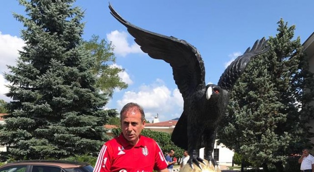 Abdullah Avcı'nın şampiyonluk dileği... Güneş gibi olmak isterim Abdullah Avcı'nın şampiyonluk dileği... Güneş gibi olmak isterim