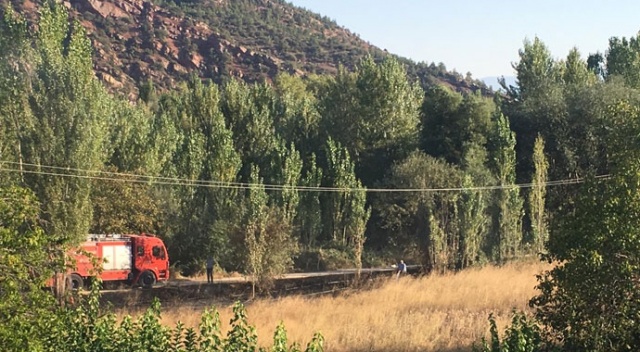 Ankara'da otluk alanda çıkan yangın büyümeden engellendi