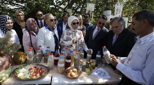 Ata tohumu ile ağzımız tatlanacak Ata tohumu ile ağzımız tatlanacak