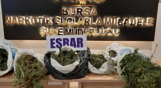 Bagajdan çuval çuval esrar çıktı