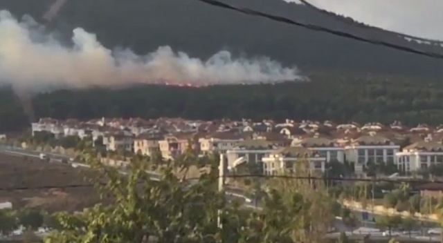 Bakan Pakdemirli'den Pendik'teki yangınla ilgili önemli açıklama