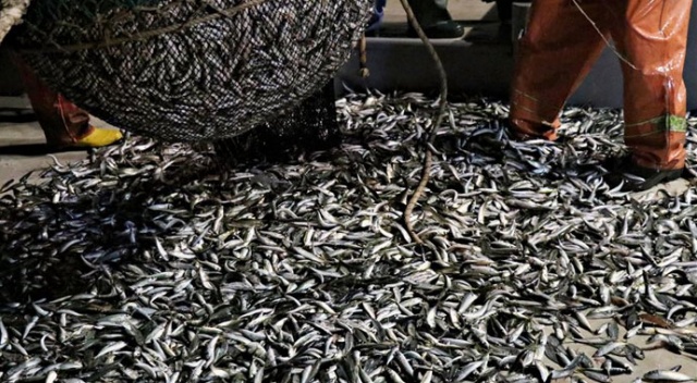 Denizlerde yasa dışı avlananlara 14 milyon lira ceza Denizlerde yasa dışı avlananlara 14 milyon lira ceza